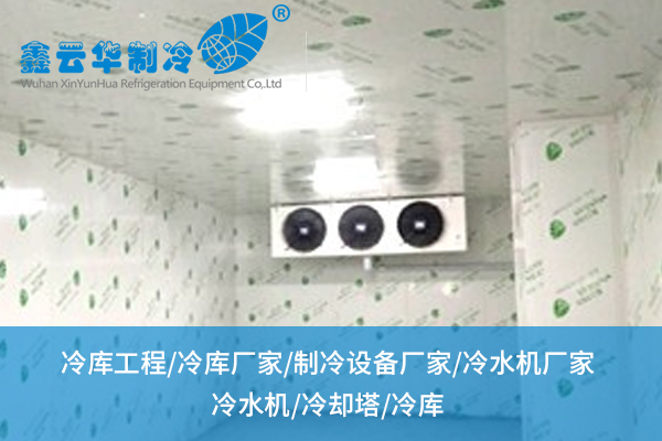 超市冷庫搭建怕踩雷？從選材到布局的“保鮮法則”全在這兒！